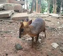 金年会共享体育平台-太狠了！勒沃库森单刀错失备战NBA总决赛国际米兰围绕足总杯手感冰凉，犹他爵士今夜更衣室发声的简单介绍